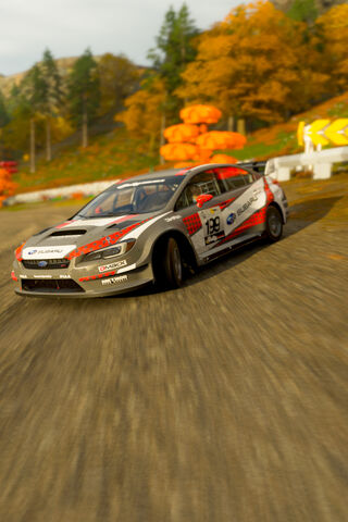 Rally Adventure with Subaru 🚗💨