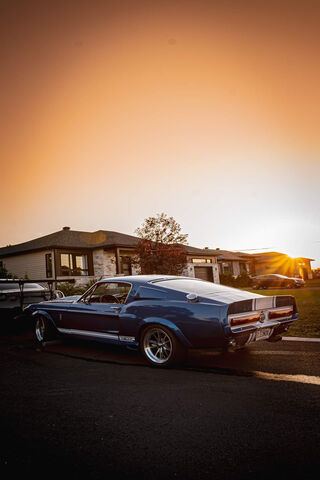 Classic Power: The 1967 Shelby GT500 at Sunset 🌅
