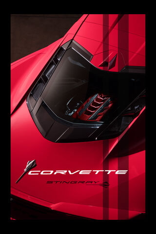 Unleashing the Stingray: A Corvette Icon