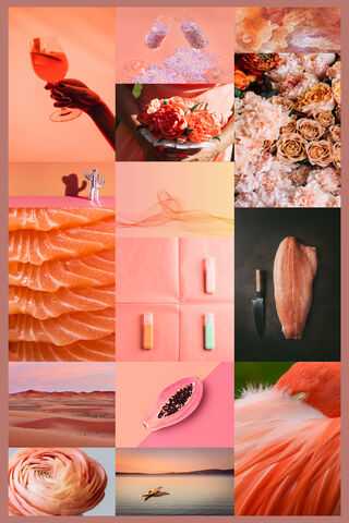 Salmon Dreams: A Colorful Culinary Journey 🐟✨