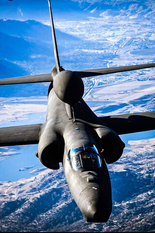 Sky High: The Majesty of Flight ✈️☁️