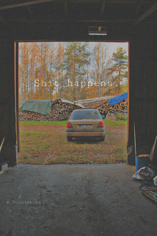 Life's Little Surprises 🚗💩