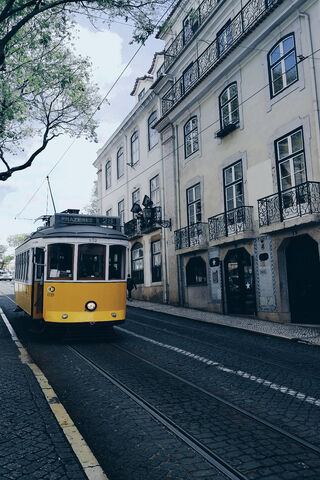 Charming Tramway Adventures 🚋✨