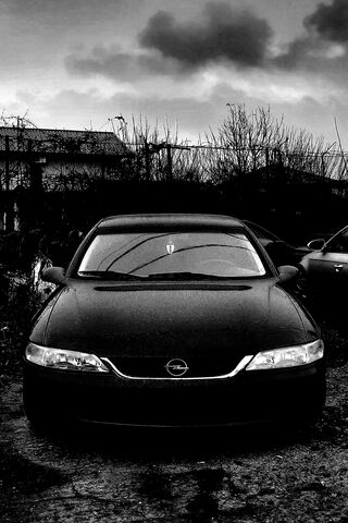 Mystery of the Vectra B: A Classic in Shadows