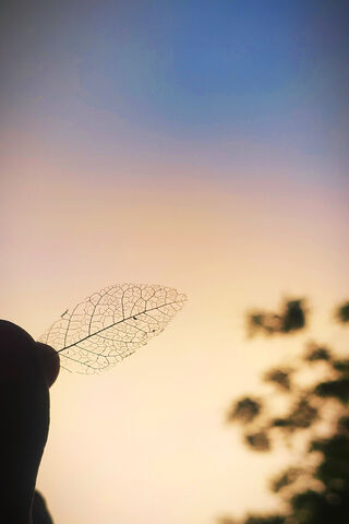 Whispers of Autumn: A Vintage Harvest