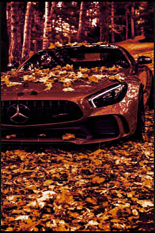 Autumn Elegance: The Leafy Ride 🍂🚗