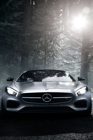 Unleashing Power: The AMG GTS in Nature's Embrace 🌲✨