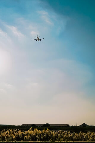 Soaring High: The Journey Begins ✈️