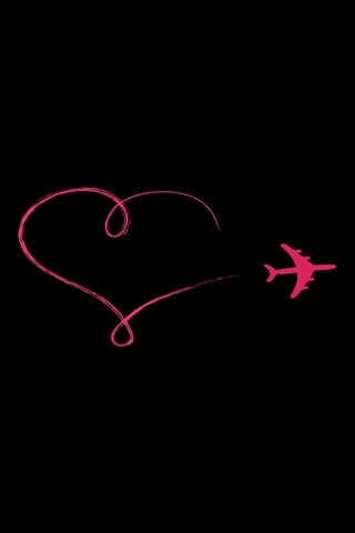 Love Takes Flight ✈️❤️