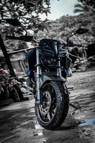 Urban Beast: The Power ..