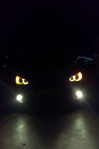 The Mysterious BMW E60: A Glimpse into Elegance 🚗✨