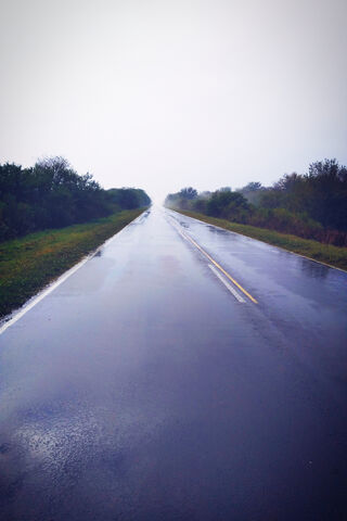 Journey Through the Mist 🌫️🚗