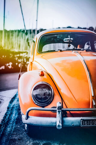 Classic Charm: The Vibrant VW Beetle 🚗✨