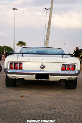 Classic Power: The 1970 Ford Mustang