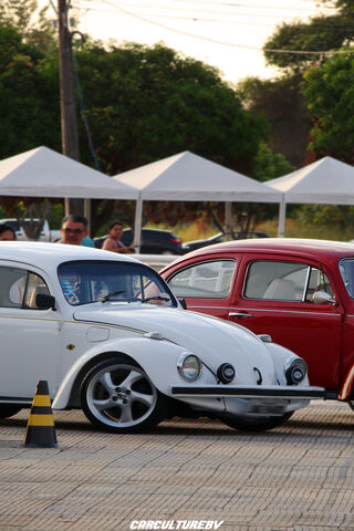 Classic Charm: The 1993 Fusca