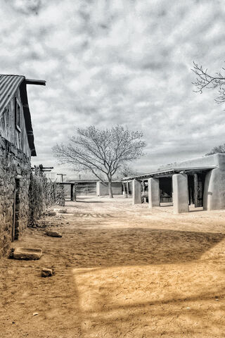 Whispering Echoes of Time 🌳🏚️