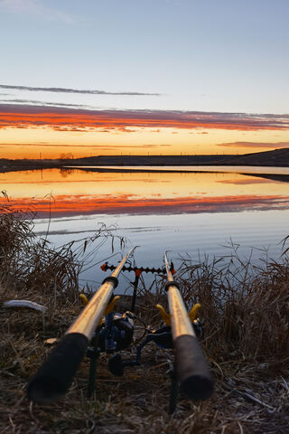 Sunset Serenity: The Art of Feeder Fishing 🎣🌅