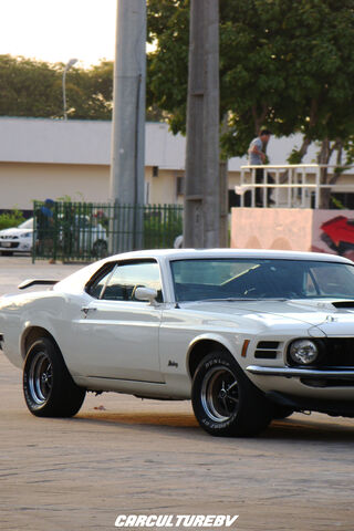 Classic Power: The 1970 Ford Mustang