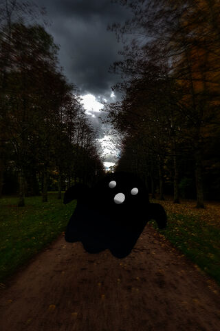 Spooky Shadows: A Halloween Haunt 🎃👻