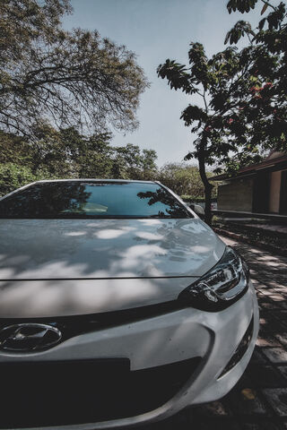 Sleek and Stylish: The Hyundai i20 in Nature 🌿🚗