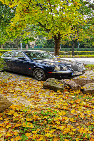 Jaguar S-Type: A Classic Beauty Amidst Autumn Leaves 🍂🚗