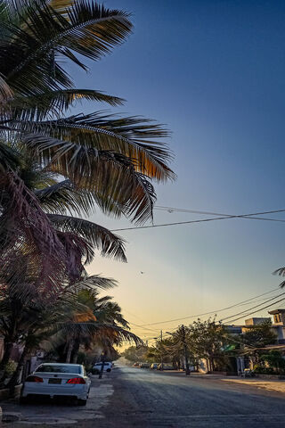 Sunset Serenity in Karachi Dha 🌅🌴