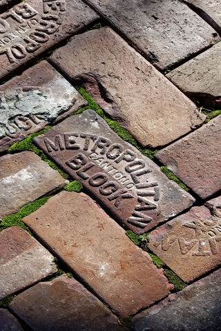 Nature's Touch on Urban Pathways 🌿