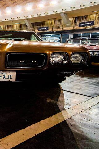 Classic Beauty: The GTO Legacy 🚗✨