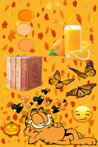 Citrus Dreams: A Cozy Autumn Vibe 🍊🍂