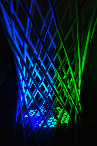 Luminous Weave: A Dance of Light and Shadow