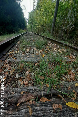 Railroad Tracks