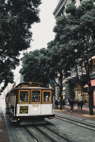 Charming Rides Through San Francisco 🌉🚋