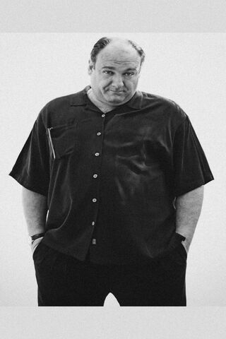 The Complex World of Tony Soprano