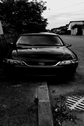 The Classic Charm of Vectra B 🚗✨