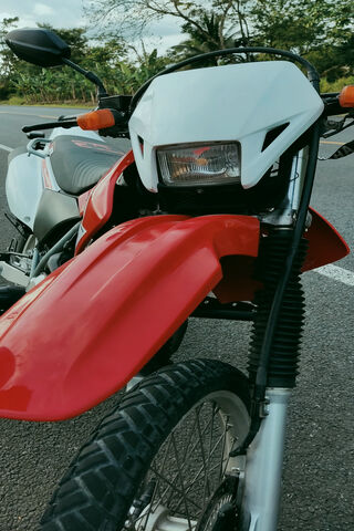 Xr 250: The Ultimate Adventure Companion 🏍️🌲