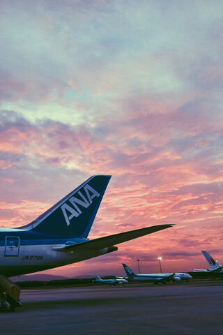Soaring into the Sunset: All Nippon Airways
