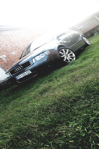 Sleek Elegance: The Audi A4 Avant in Nature 🌿🚗