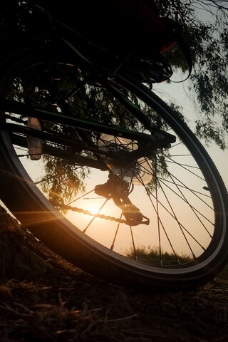 Sunset Ride: Embracing Freedom on Two Wheels 🌅🚴