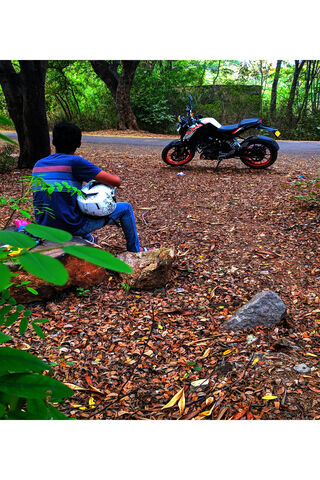 Duke's Solitude: A Rider's Reflection 🏍️🌳