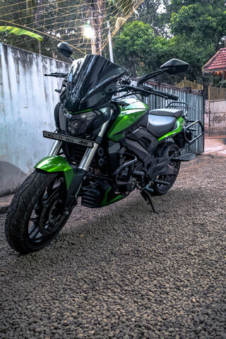 Dominor: The Beast on Two Wheels 🏍️💨