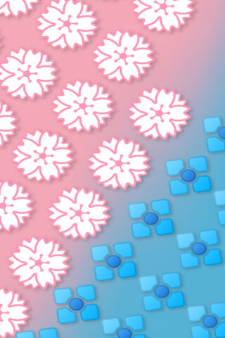 Blossoms of the E46 Touring