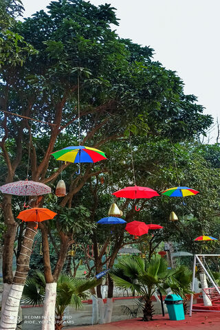 Fiesta of Colors: Umbrella Wonderland 🎉☂️