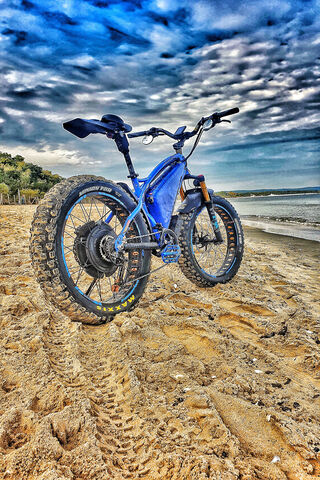 Beach Cruiser: The Fat Bike Panther Roars
