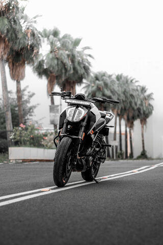 KTM Duke 250: The Urban Beast 🏍️🌆