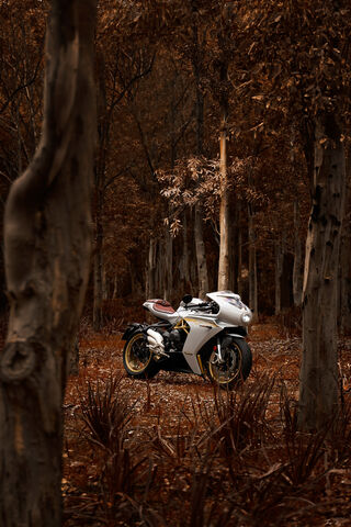 MV Agusta: The Art of Speed in Nature 🌲🏍️