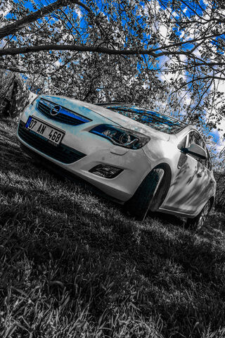 Opel Astra J: A Stylish Ride in Nature 🌳🚗