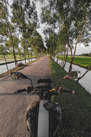Riding Through Nature's Path 🌿🏍️