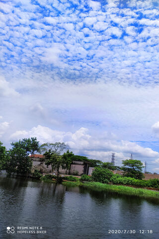 Serenity Under the Sky 🌤️