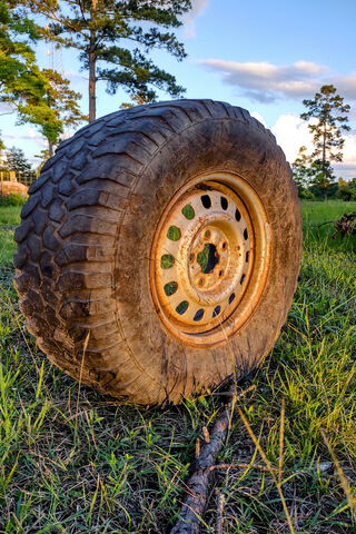 Tire In Field