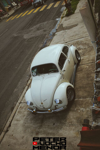 Vocho Vibes: The Classic Beetle